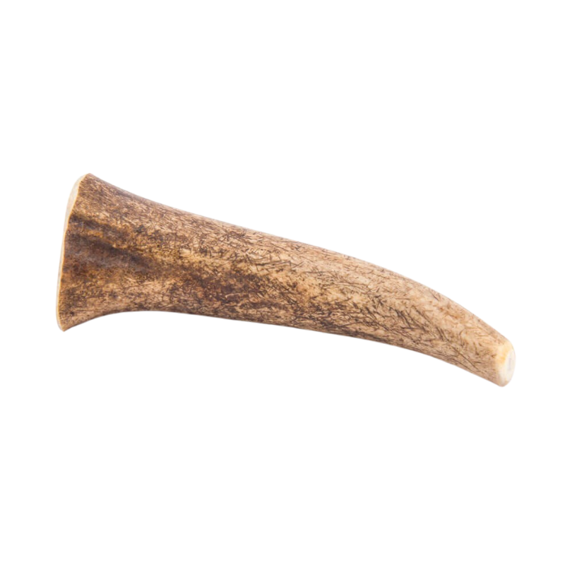 Bois de Cerf pour Chien L 160-190g - Image 2