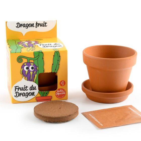 Radis et Capucine - Radis et Capucine - Pot avec coupelle - Fruit du dragon - 8 cm - Image 4