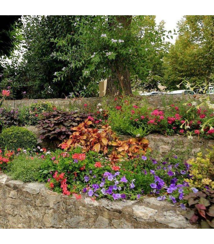 Terreau fleurissement prêt à l'emploi 10 sacs 50 l bacs de plantes - Image 4