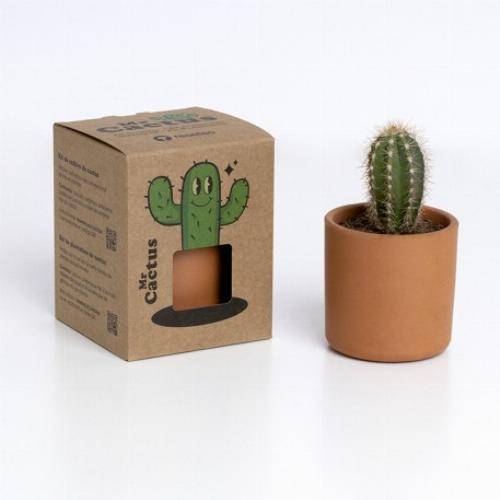 kit pot cactus - famille Cactus - Mrs - Image 2