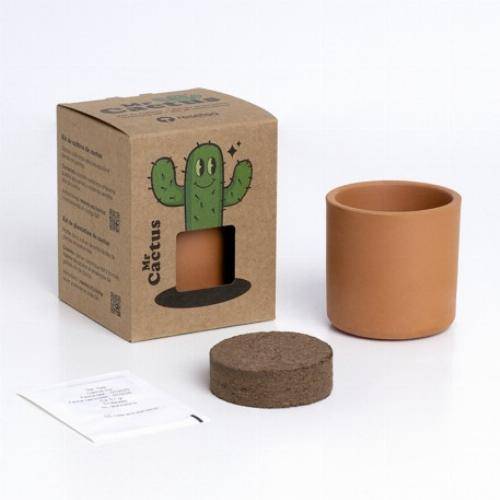 kit pot cactus - famille Cactus - Mrs - Image 4