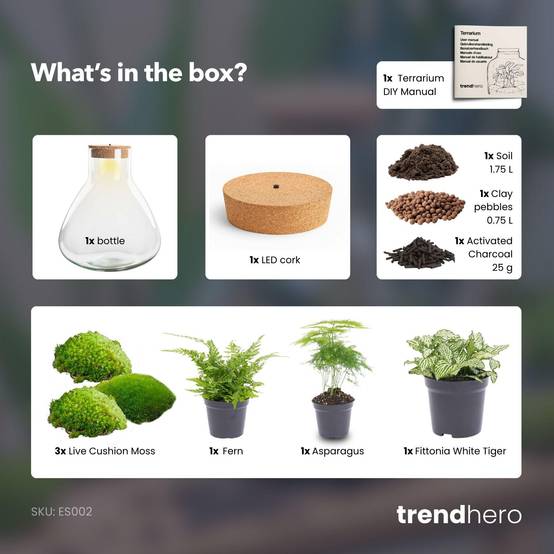 Terrarium à composer bouteille en verre recyclé - Ø30-H35cm - sans outils - Terrarium DIY - Image 3