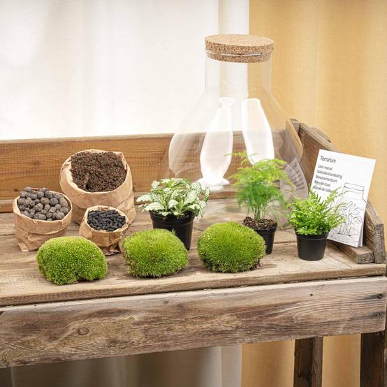 Terrarium à composer bouteille en verre recyclé - Ø30-H35cm - sans outils - Terrarium DIY - Image 4