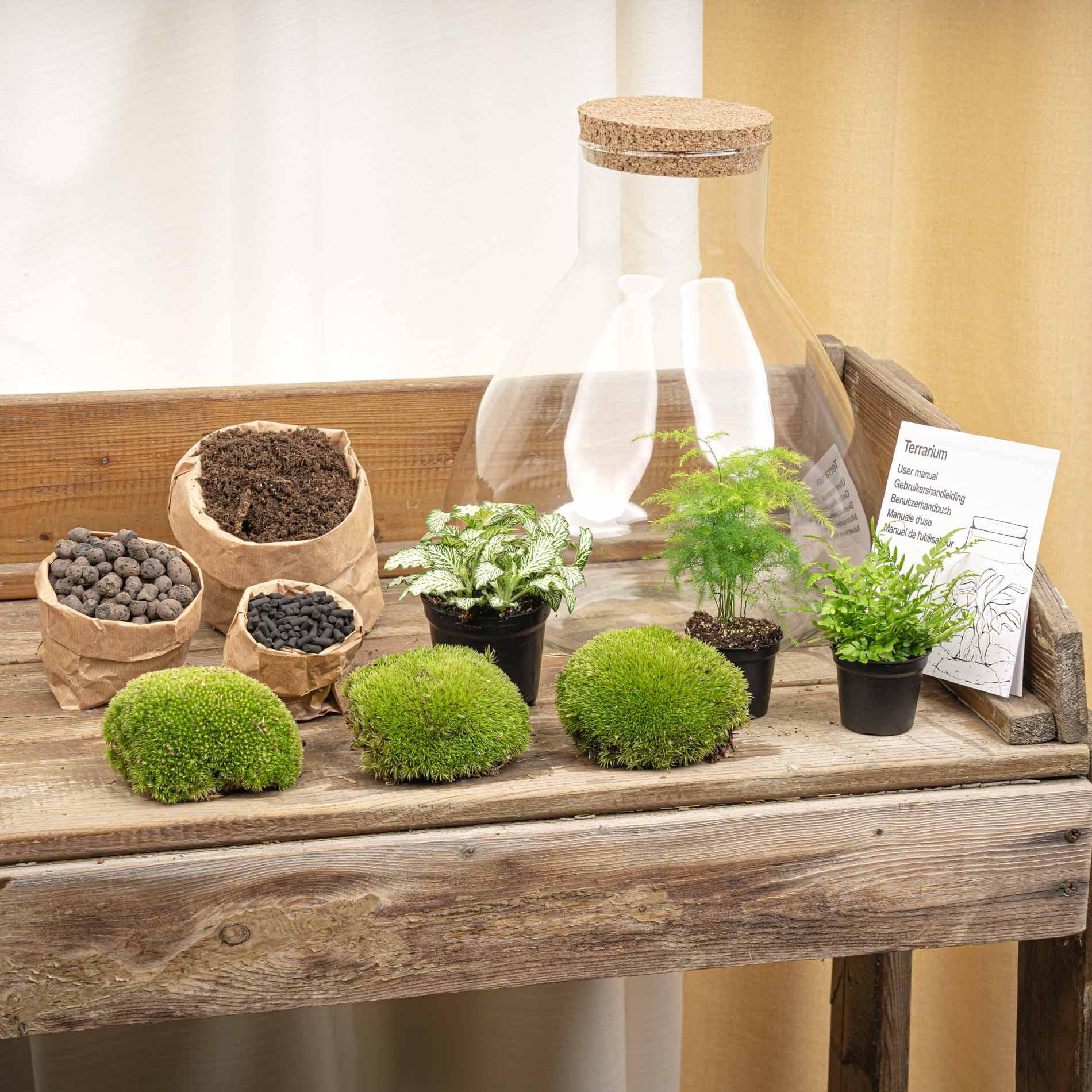 Terrarium à composer bouteille en verre recyclé - Ø30-H35cm - sans outils - Terrarium DIY - Image 4