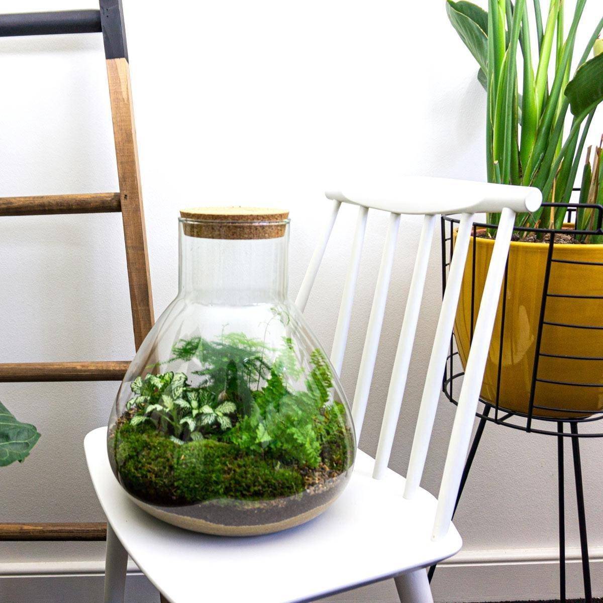 Terrarium à composer bouteille en verre recyclé - Ø30-H35cm - sans outils - Terrarium DIY - Image 5