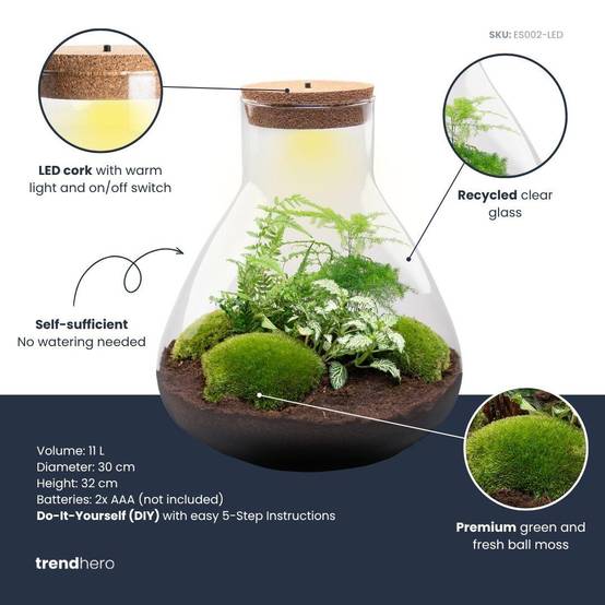 Terrarium à composer bouteille en verre recyclé - Ø30-H35cm - sans outils - Terrarium DIY - Image 2