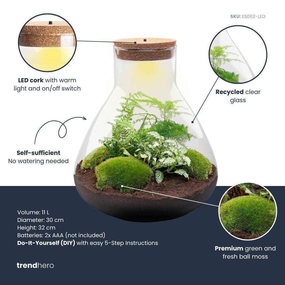 Terrarium à composer bouteille en verre recyclé - Ø30-H35cm - sans outils - Terrarium DIY - Image 2