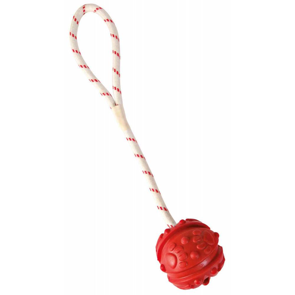 animallparadise - Jeu aquatique Balle sur corde, Dimensions: ø 4,5/35 cm, couleur aléatoire, pour votre chien. - Image 2