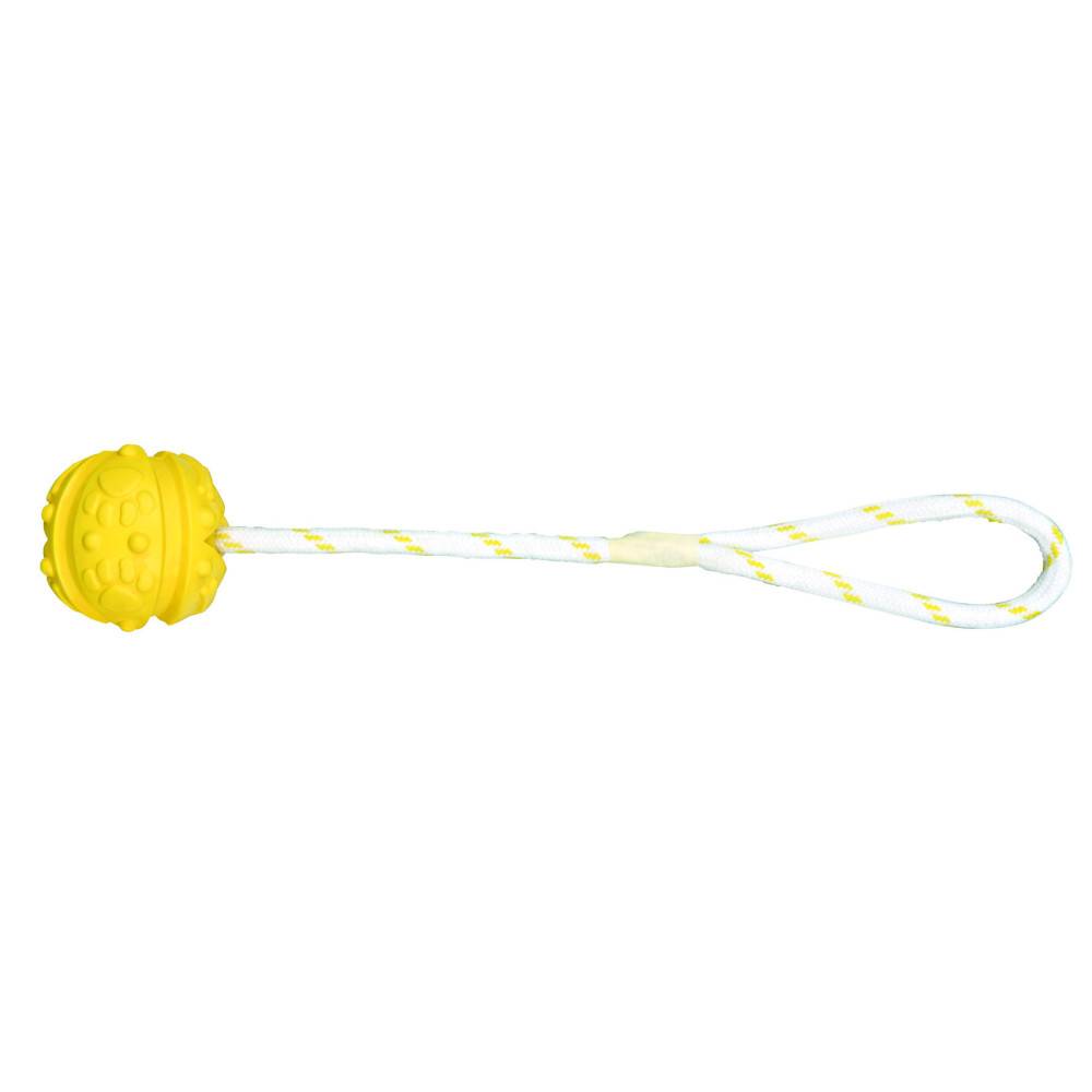 animallparadise - Jeu aquatique Balle sur corde, Dimensions: ø 4,5/35 cm, couleur aléatoire, pour votre chien. - Image 1