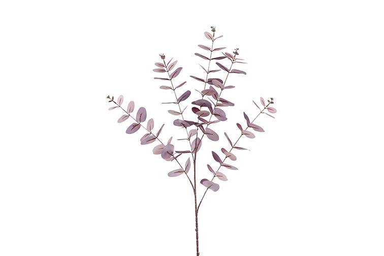 Feuille Eucalyptus Cinerea pourpre-59x28x106CM