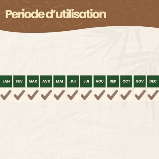 achatnature - Nématodes SF contre thrips - 3 millions - 15 pots - Image 6