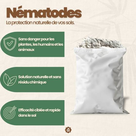 achatnature - Nématodes SF contre thrips - 3 millions - 15 pots - Image 3