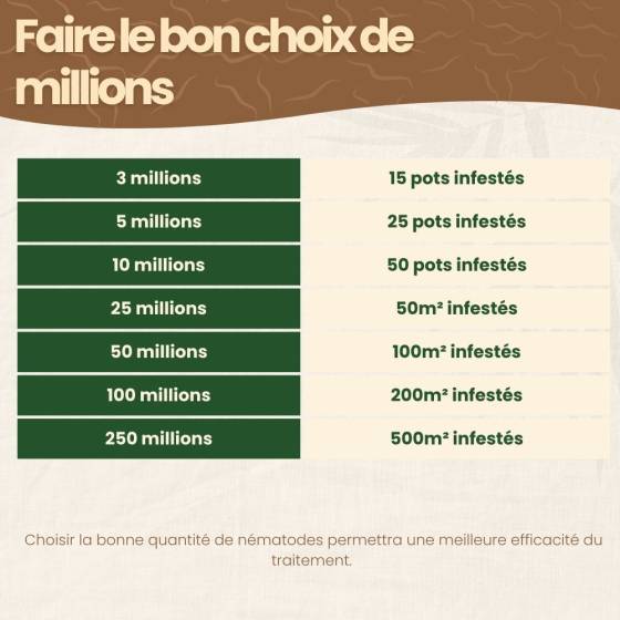 achatnature - Nématodes SF contre thrips - 3 millions - 15 pots - Image 7
