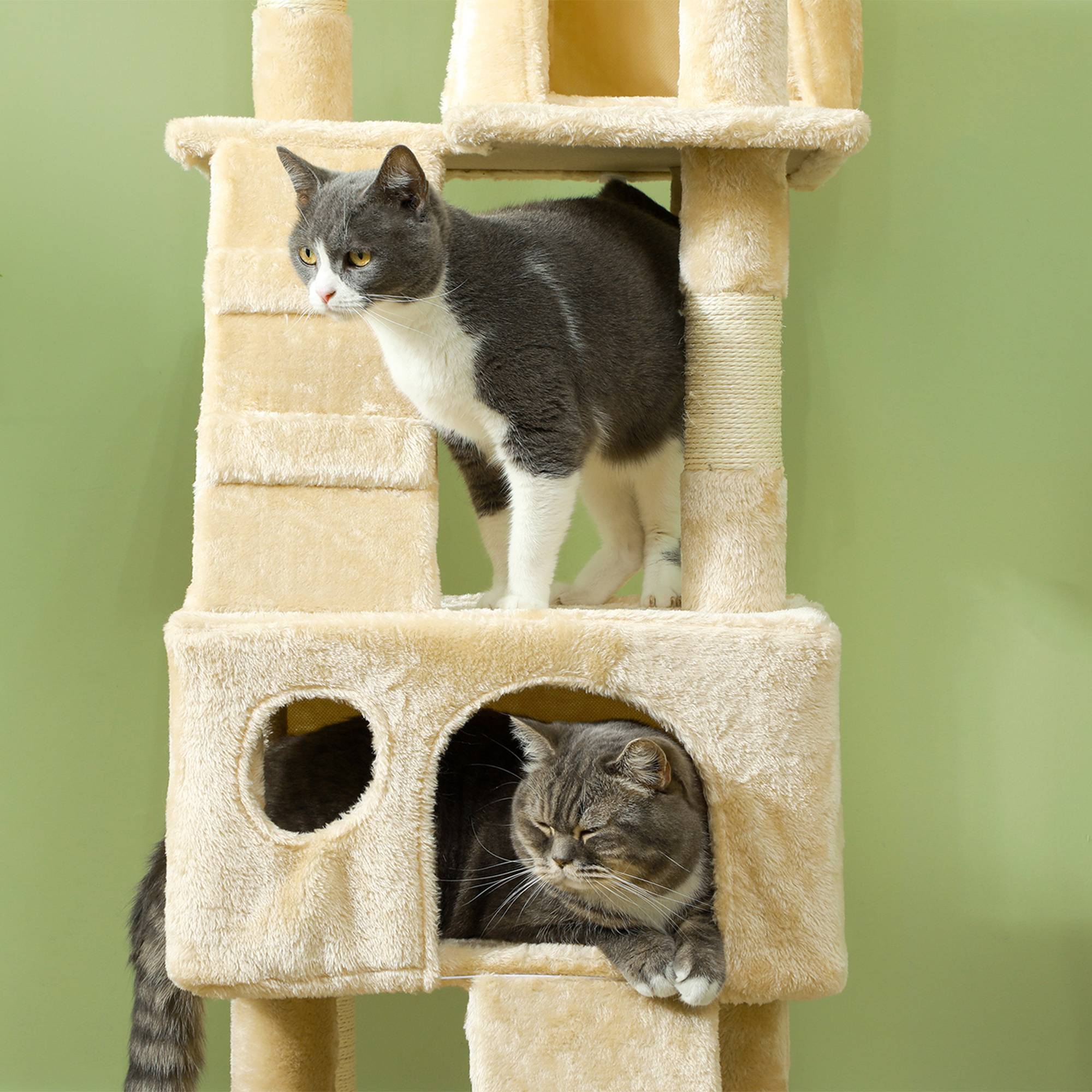 Arbre à chat à griffer, 173 cm, tour d'escalade avec 2 niches, 3 couchages, 2 rampes, poteaux en sisal, 2 souris suspendues, beige - Image 10