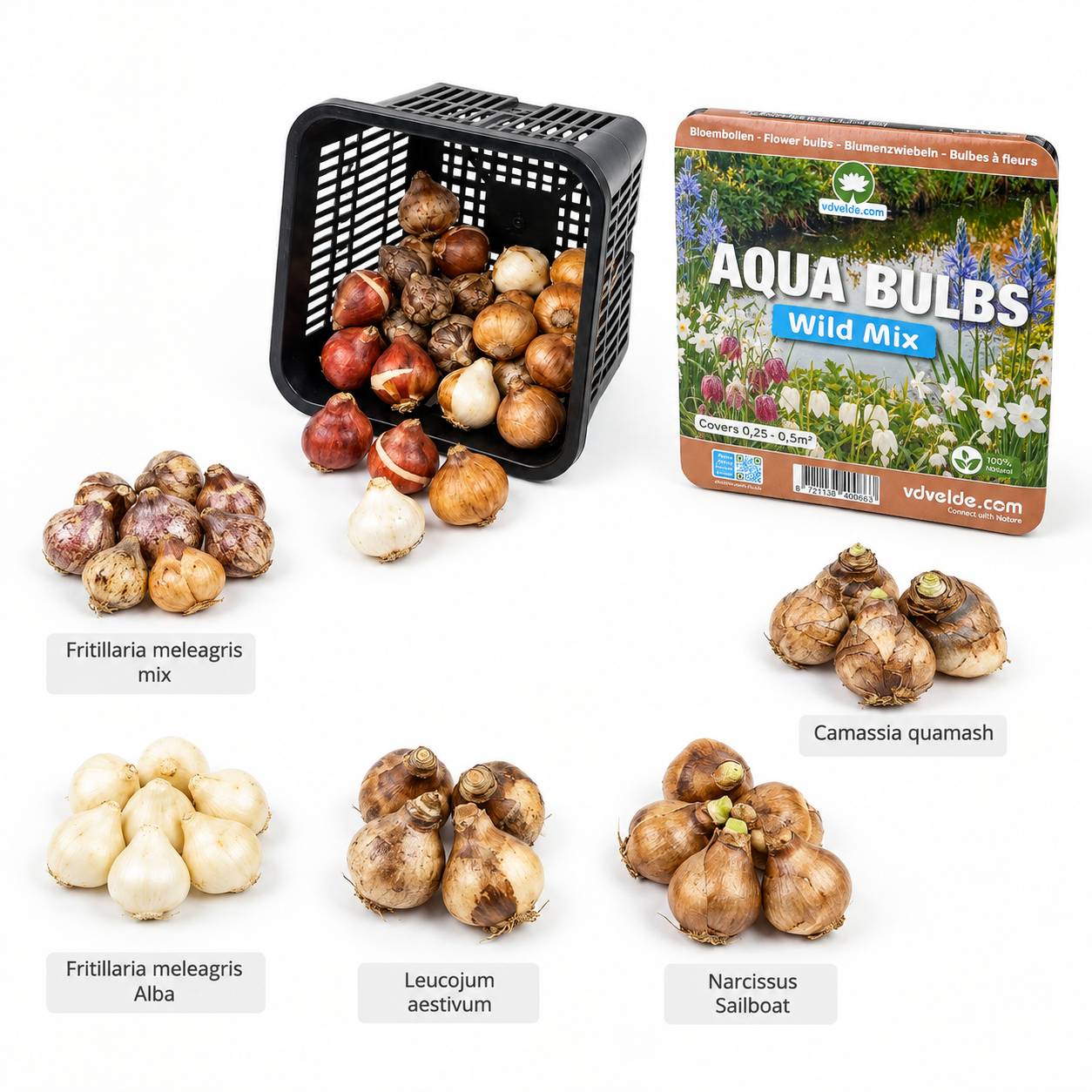 Aqua Bulbs Mélange sauvage - Fleurs sauvages pour favoriser la biodiversité - Image 4