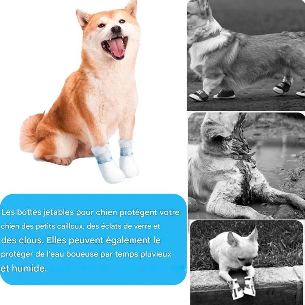 20 pièces de protections de pattes pour chiens S DtopbuyAge - Image 4