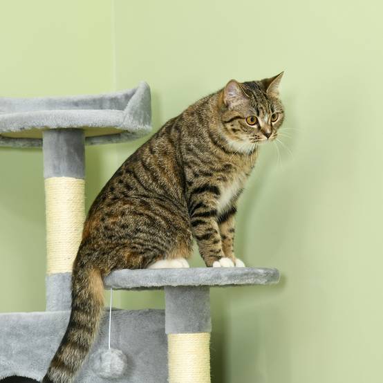 Arbre à chat XXL avec deux niches et hamacs gris clair 60 x 60 x 200 cm - PANGIVO - Image 8