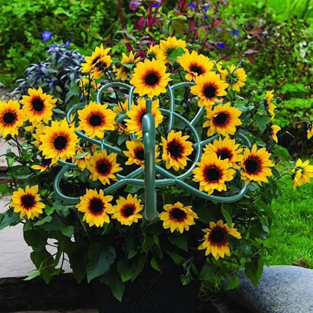 Pour plantes-Supports pour plantes-Support de fraises en forme d'oiseau pour jardin et extérieur-Living123 - Image 2