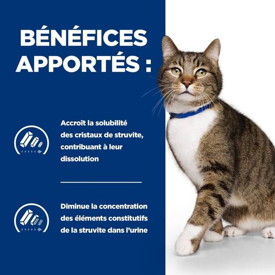 CROQUETTES CHAT ADULT PRESCRIPTION DIETS S/D URINARY CARE - HILL'S 3 kg - Image 3