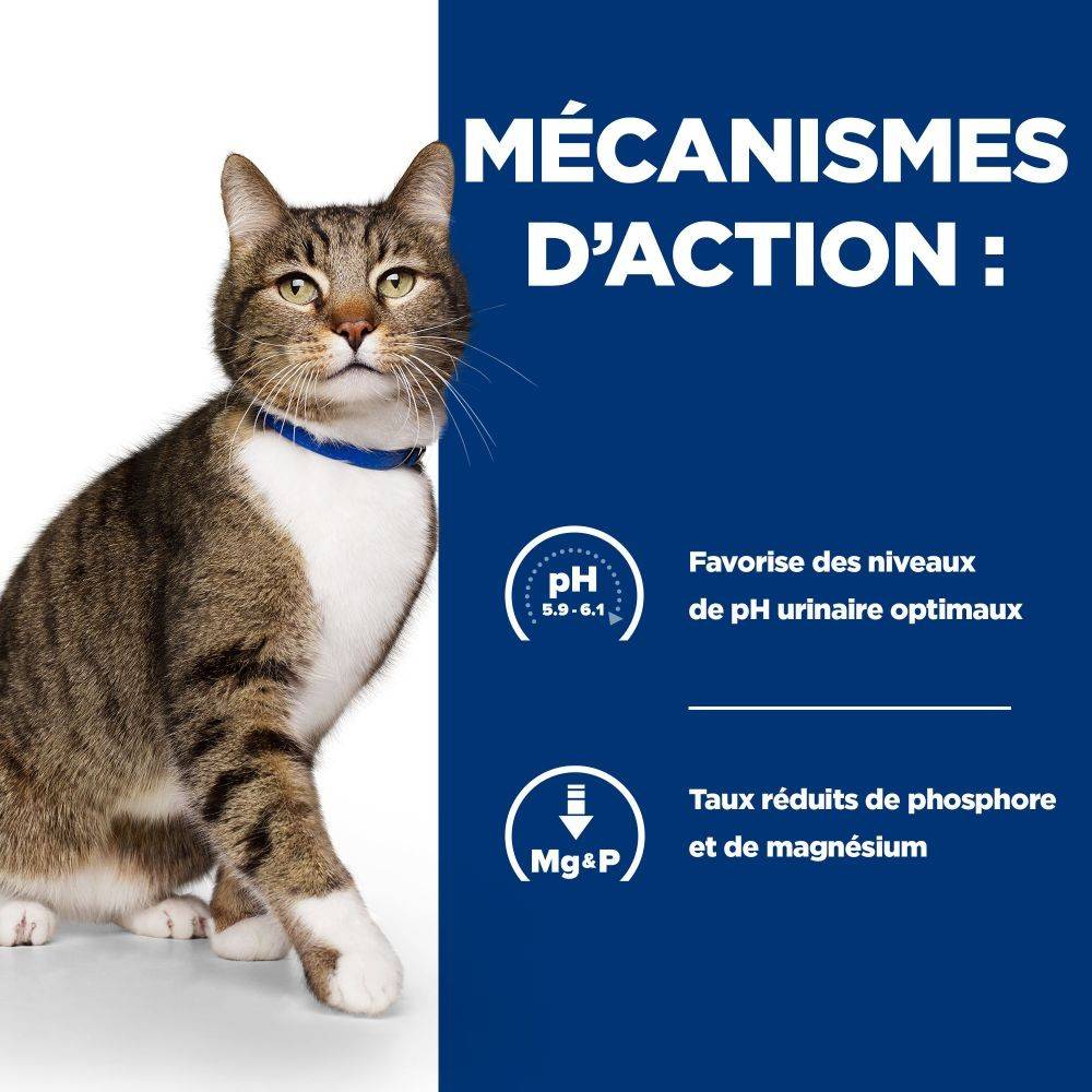 CROQUETTES CHAT ADULT PRESCRIPTION DIETS S/D URINARY CARE - HILL'S 3 kg - Image 4