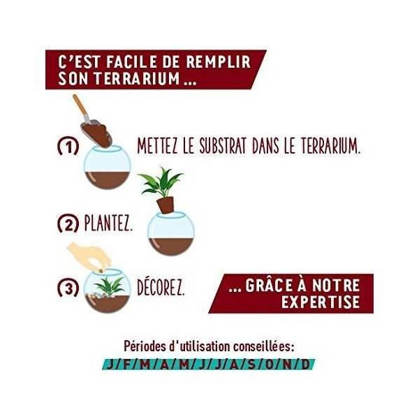 Or Brun - Or brun - Terreau pour terrarium - 4L - Image 2