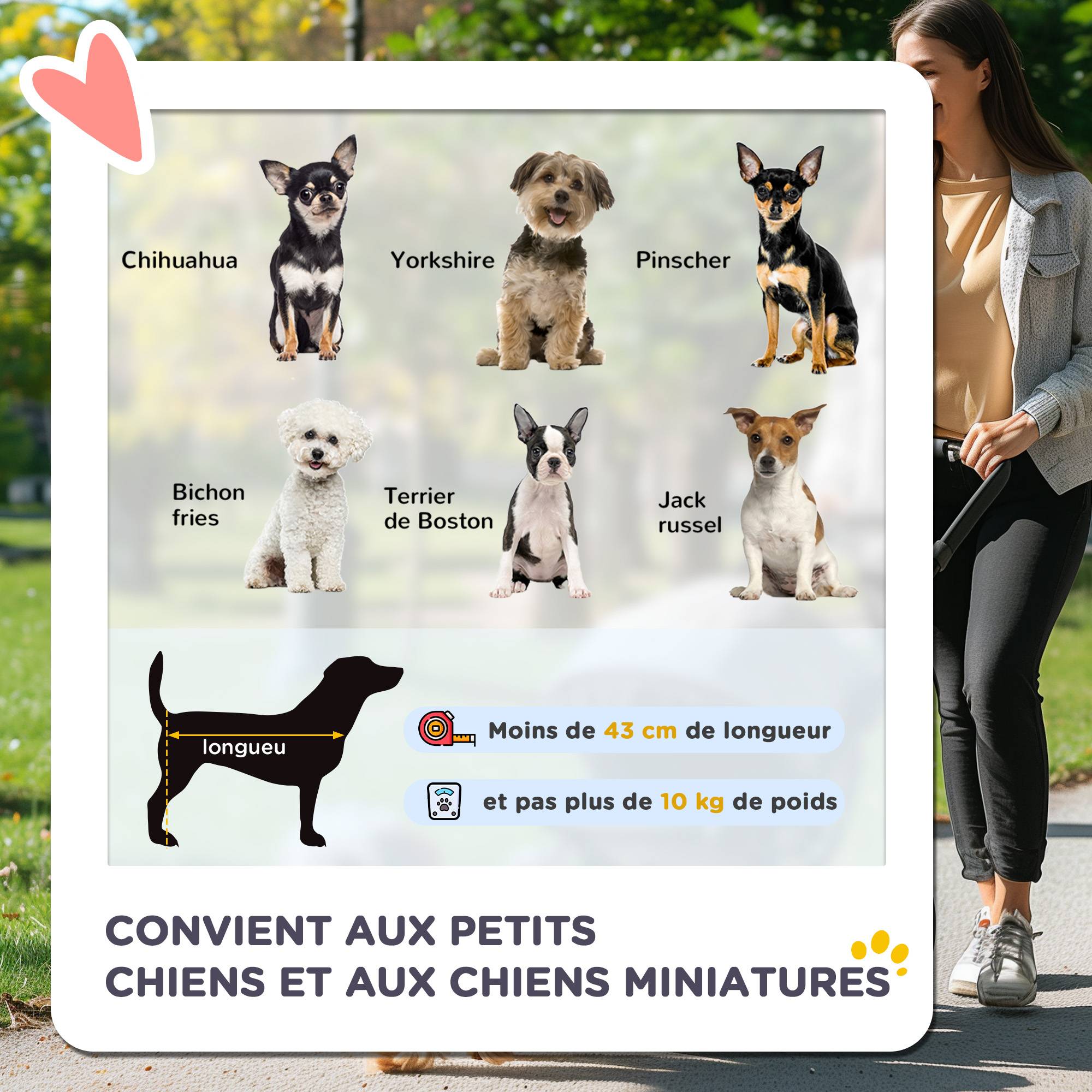 Poussette pour chien animaux de compagnie pliable 4 roues EVA guidon réglable panier 76,5 x 52 x 95 cm - Image 6