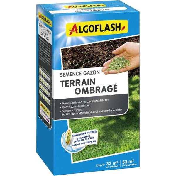 Algoflash - Semences gazon - ALGOFLASH - Terrain ombragé - 800 g
