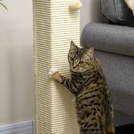 ComfortXL - Poteau Griffoir Chat Sisal Naturel Socle Bois Jouet Suspendu 80cm Beige - ComfortXL Pet Living - Image 7