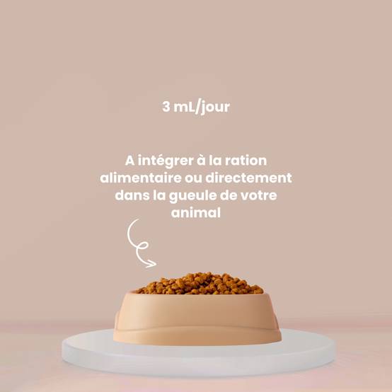 Complément alimentaire vétérinaire - Mobilité (articulations) chat 50 mL - VetyVert - Image 5