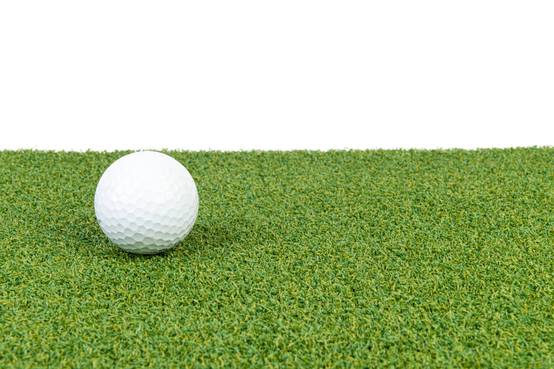 Bogazon Gazon synthétique Putting green 15 mm (4 m x 4,5 m) | Pelouse Premium | Décoration Maison | Résistant UV | Garanties 15 ans - Image 2