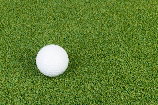 Bogazon Gazon synthétique Putting green 15 mm (4 m x 4,5 m) | Pelouse Premium | Décoration Maison | Résistant UV | Garanties 15 ans - Image 3