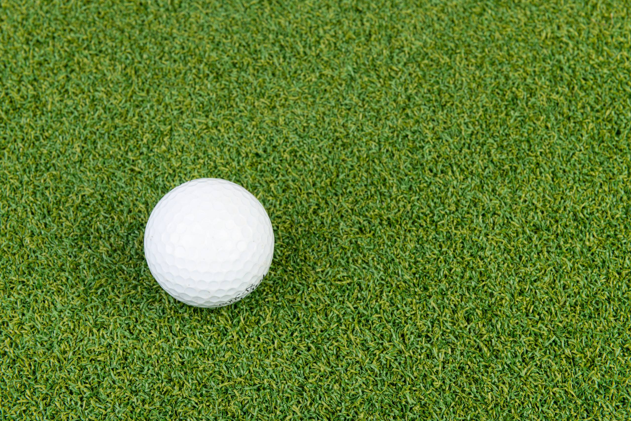 Bogazon Gazon synthétique Putting green 15 mm   (4 m x 4,5 m) | Pelouse Premium | Décoration Maison | Résistant UV | Garanties 15 ans - Image 3