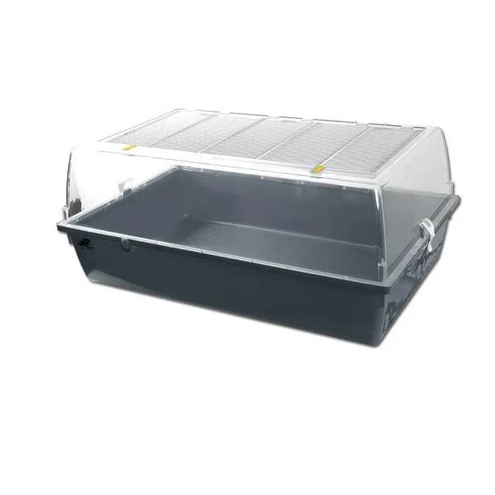 Kit de démarrage pour élevage de poussins - Image 5