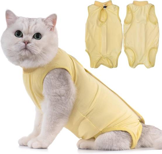 Combinaison de Récupération pour Chat Anti Léchage Jaune M