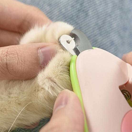 DtopbuyAge - Grinder pour les griffes de chiens et chats avec DtopbuyAge - Image 3