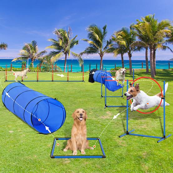 VEVOR Kit équipements agilité chien, 7 pièces. Haies, tunnels, anneau saut. - Image 8