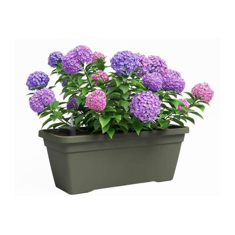 Jardiniere - Plastique - Vert Sec - Rectangulaire - L77,9 X P24 X H22cm - Artevasi - Image 2