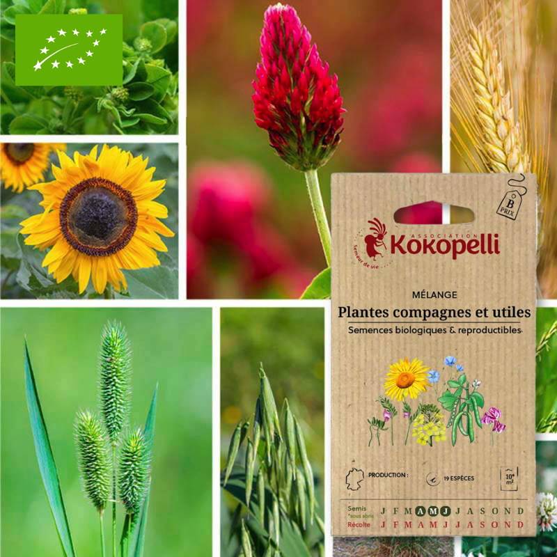 Graines bio à semer - Mélange Plantes compagnes et utiles- Association Kokopelli