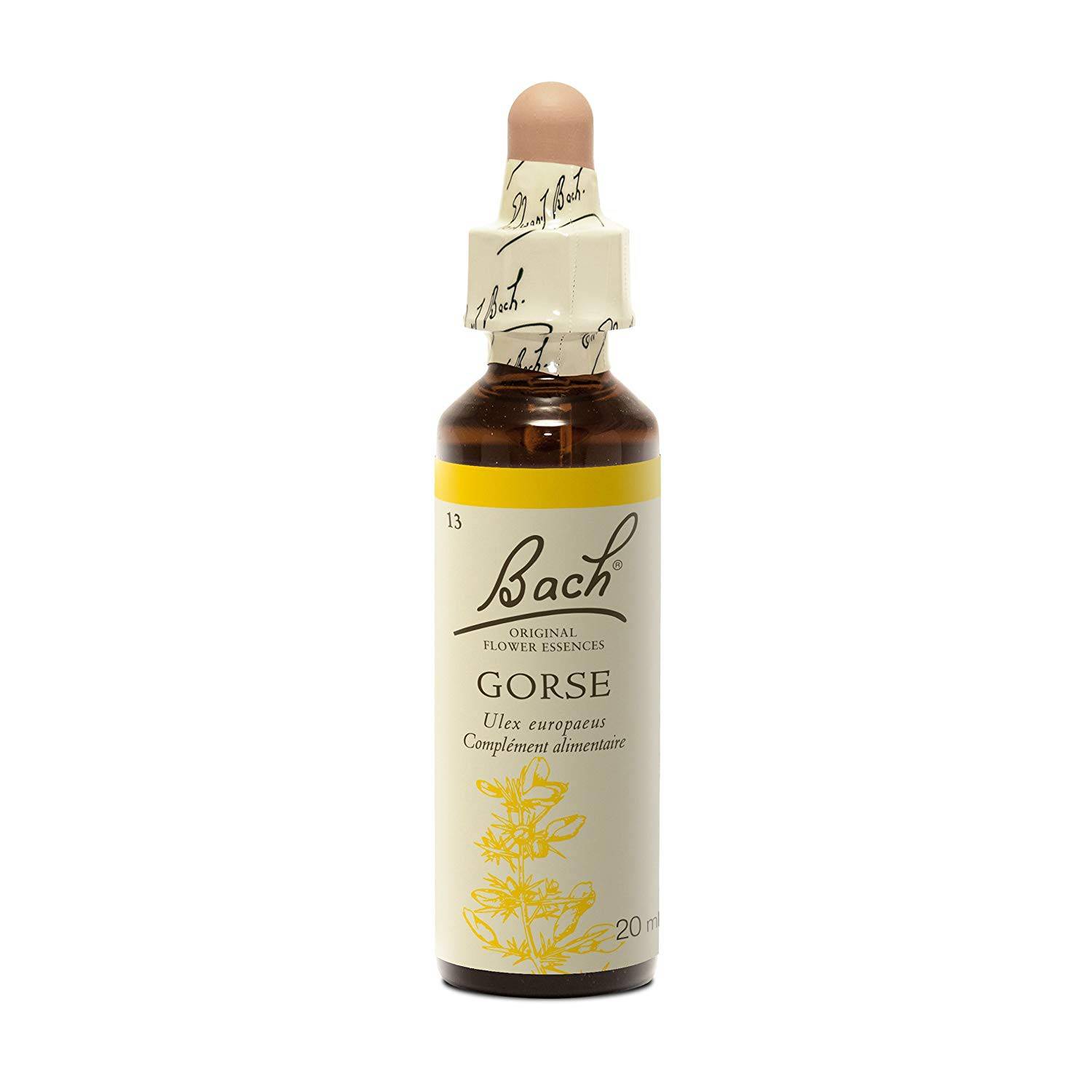 Gorse -  Fleurs de Bach n°13 Fleur de Bach