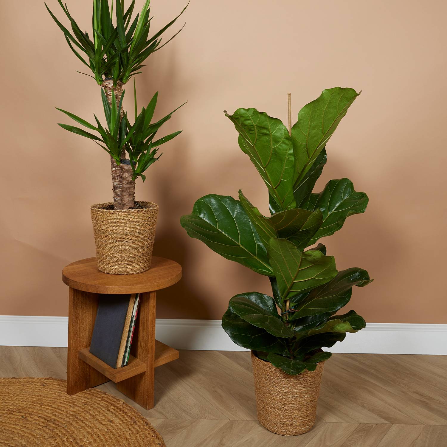 P. à Plantes Tressé Maki - Lot de 2 Pots - Beige - Jonc de Mer - Panier pour Plantes - Image 2