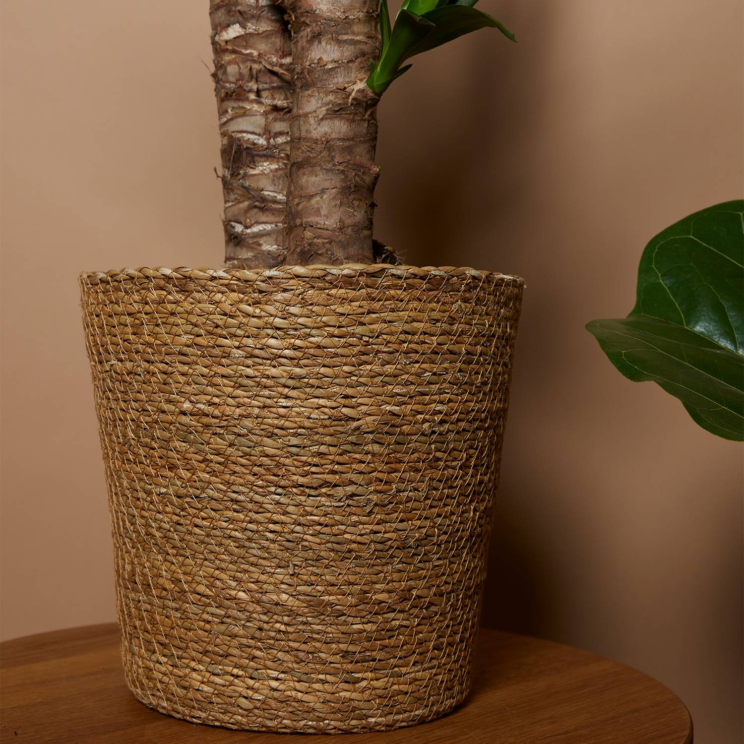 P. à Plantes Tressé Maki - Lot de 2 Pots - Beige - Jonc de Mer - Panier pour Plantes - Image 4
