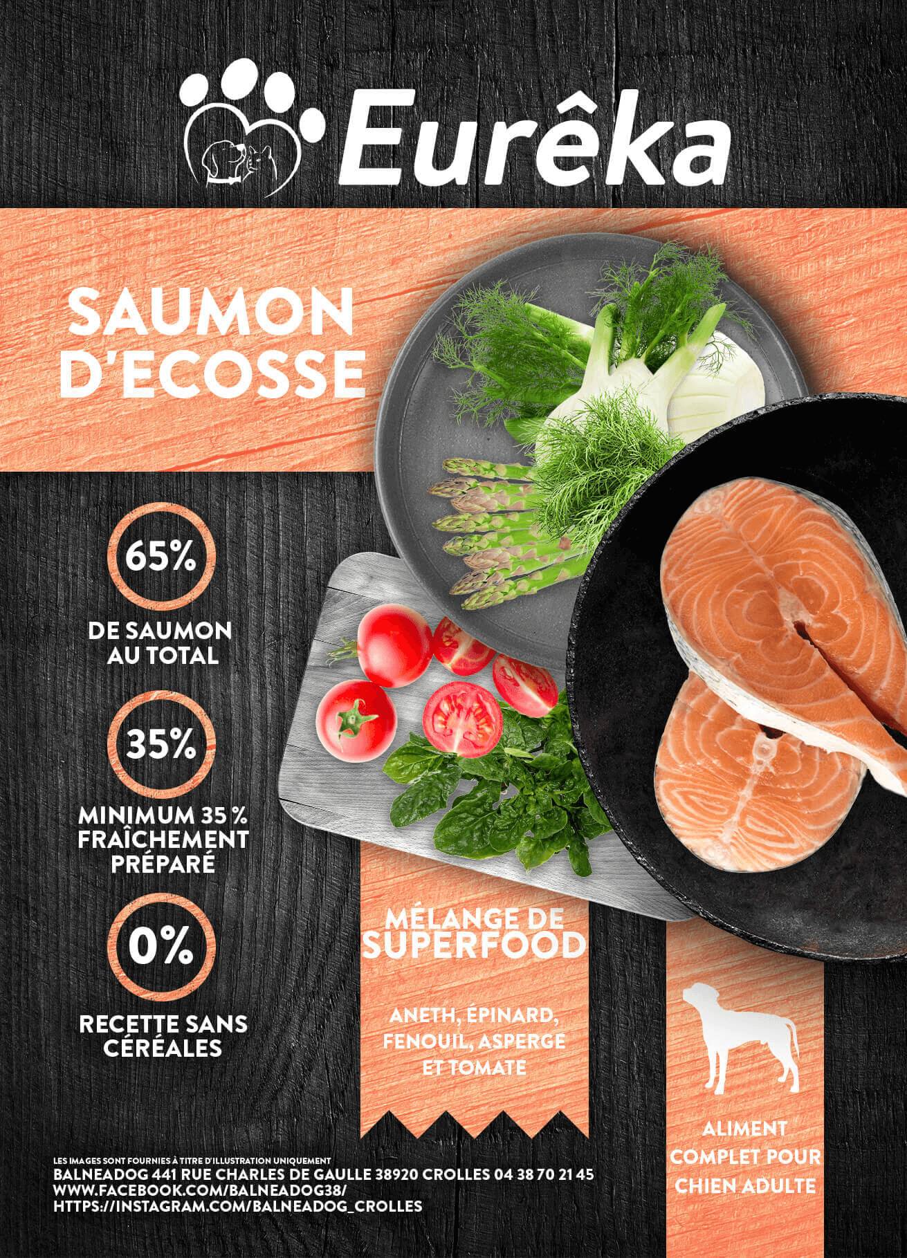 Croquettes chien adulte holistic sans céréales - Saumon d'Ecosse - 2 Kg - Image 2