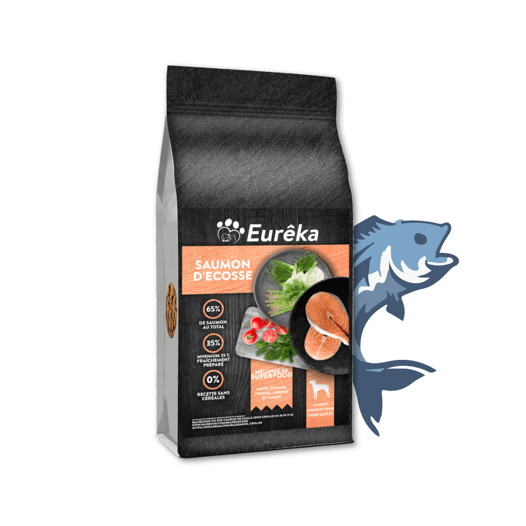 Croquettes chien adulte holistic sans céréales - Saumon d'Ecosse - 2 Kg - Image 1