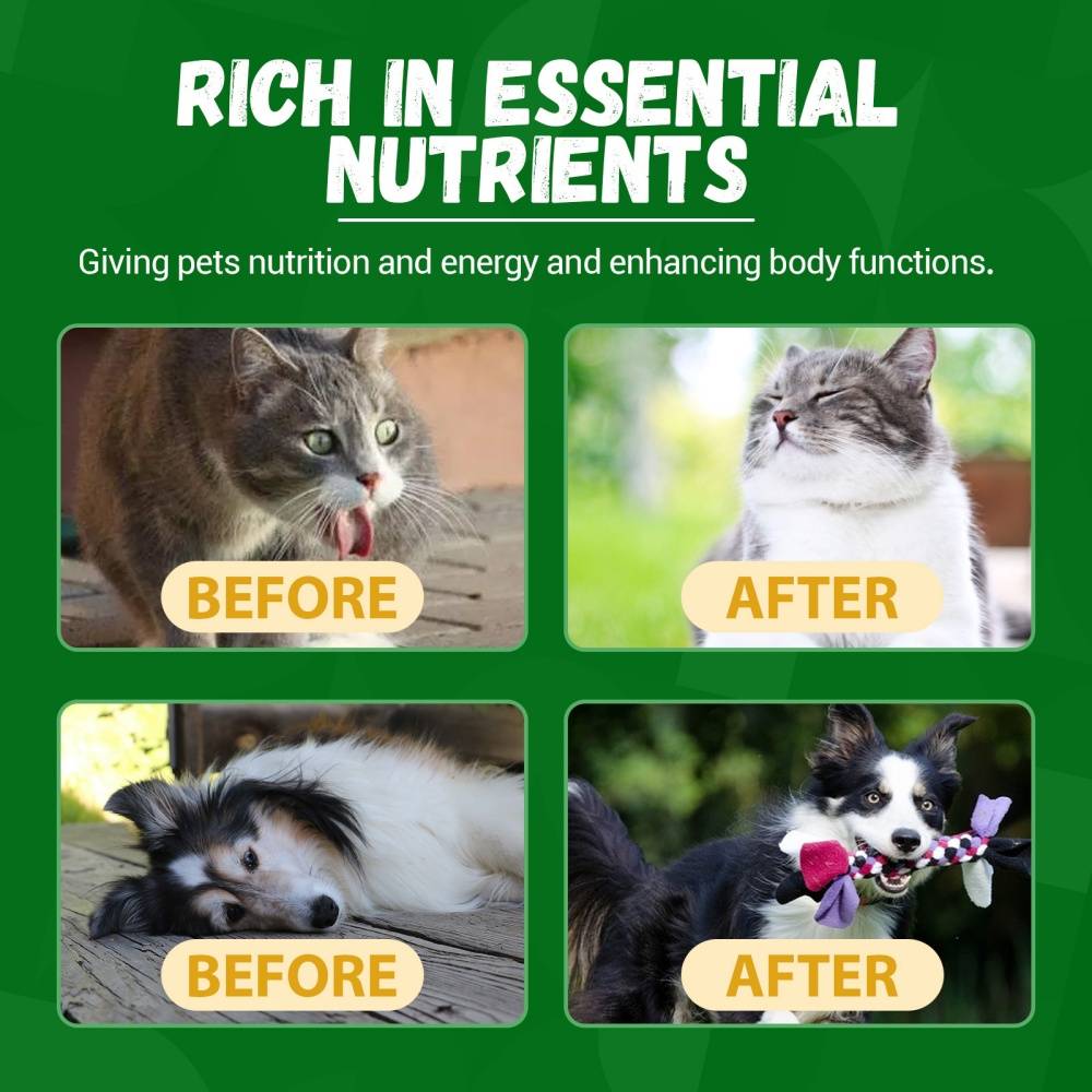 Complément nutritionnel pour animaux domestiques 60ml MCBOSON - Image 7