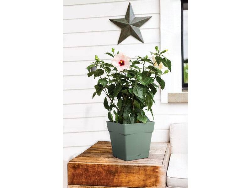 Eda - Pot Tosca Carré Vert Pot De Fleurs Carré Avec Soucoupe Intégrée - Eda - Image 2