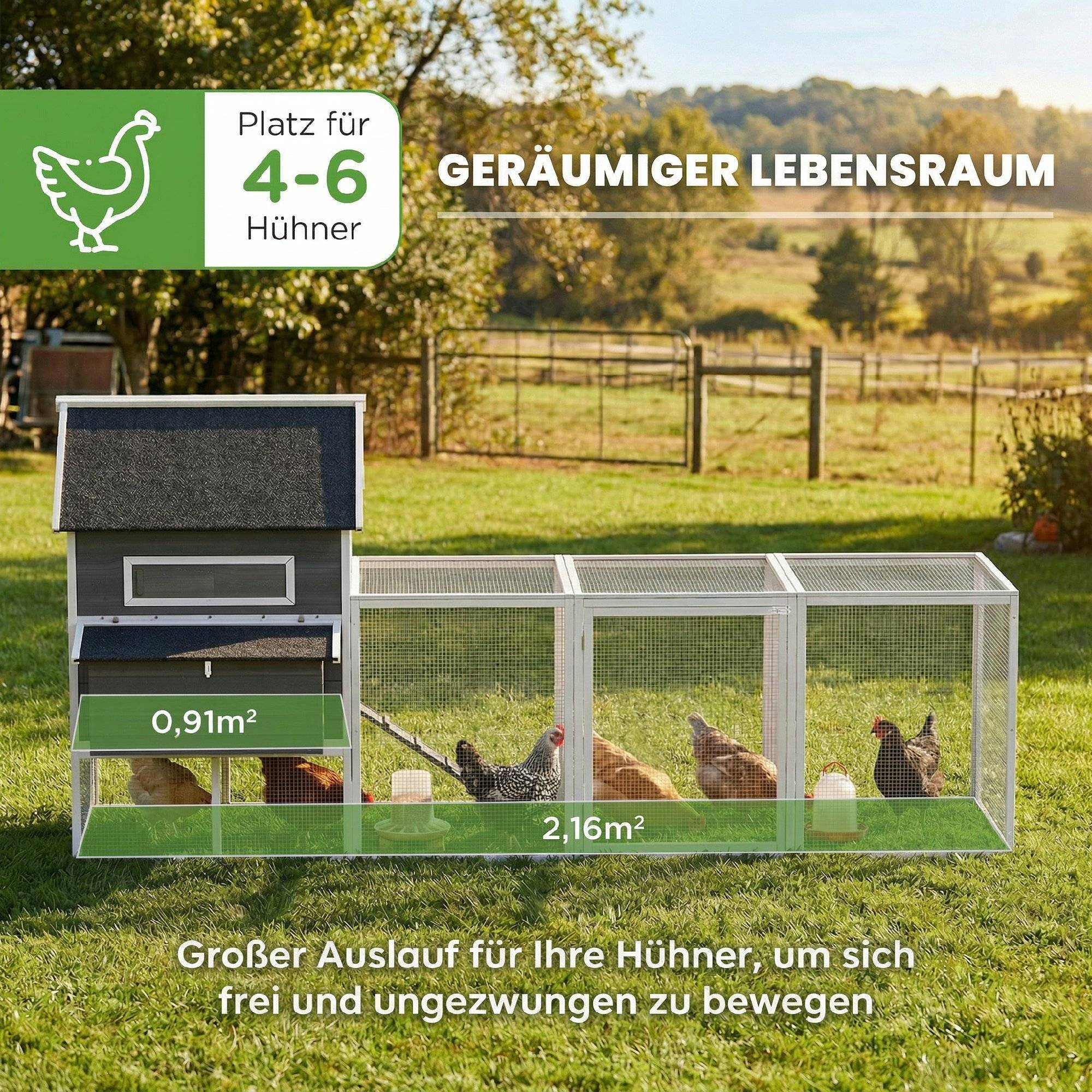 ComfortXL - Poulailler bois 347 x 160 x 150 cm gris foncé pour 4 à 6 poules avec grand enclos - ComfortXL Outdoor Living - Image 6