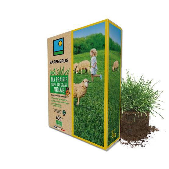 Prairie 100% Ray-grass anglais - Rapide d'Installation - Polyvalente et Appétente - Très Bonne Pérennité 4 ans et + - 3KG - BARENBRUG - Image 1