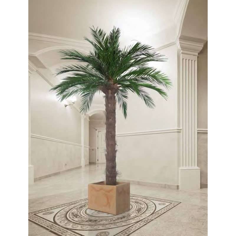Palmier Naturel Stabilisé  Phoenix - Palmier stabilisé - Palmier d'intérieur - 180 cm