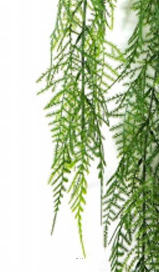 Chute d'asparagus artificiel L 75cm vert - Image 3