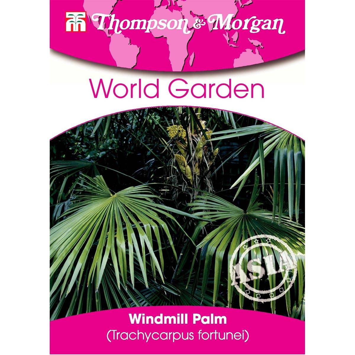 Graines de Palmier de Chine - Trachycarpus Fortunei Graines
